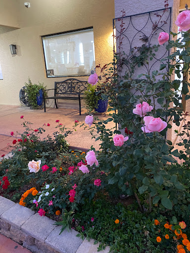 Hair Salon «Bravo Salon», reviews and photos, 10614 N 71st Pl, Scottsdale, AZ 85254, USA