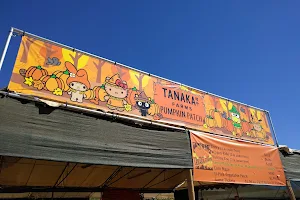 Tanaka Farms image