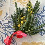 Photo n°5 de l'avis de Maria.a fait le 08/03/2024 à 14:42 sur le  Ristorante Ca' Nostra à Cesenatico