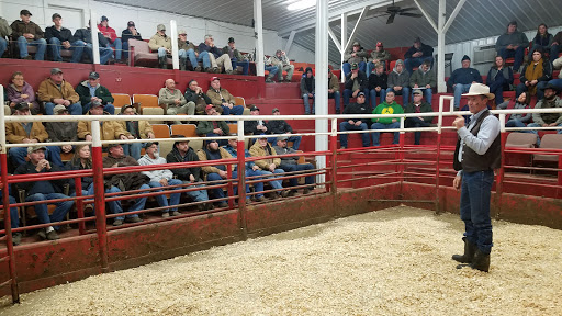 Creston Livestock Market