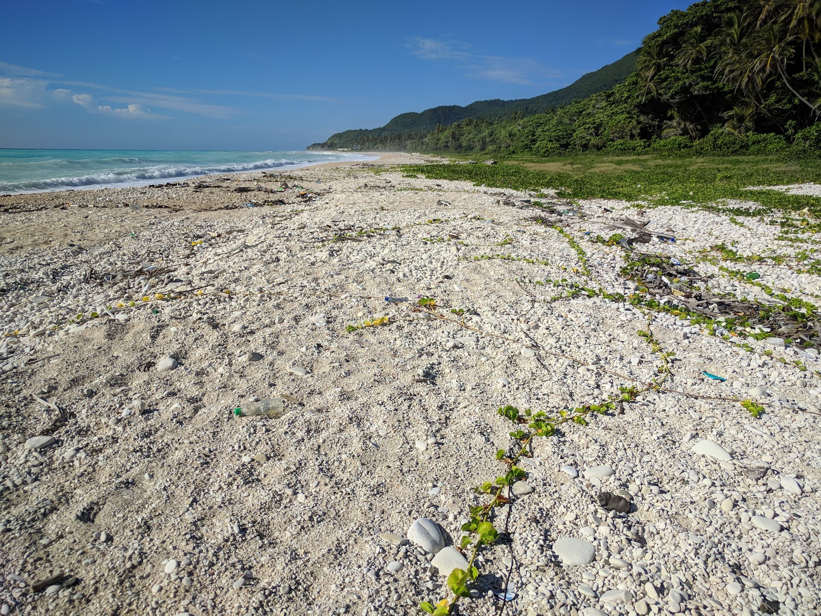 Photo de Punta Arena beach et le règlement