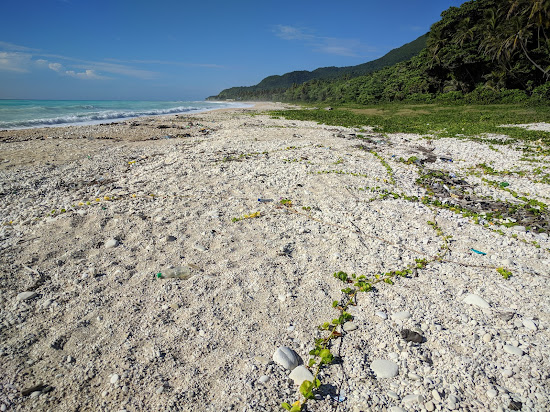 Punta Arena beach