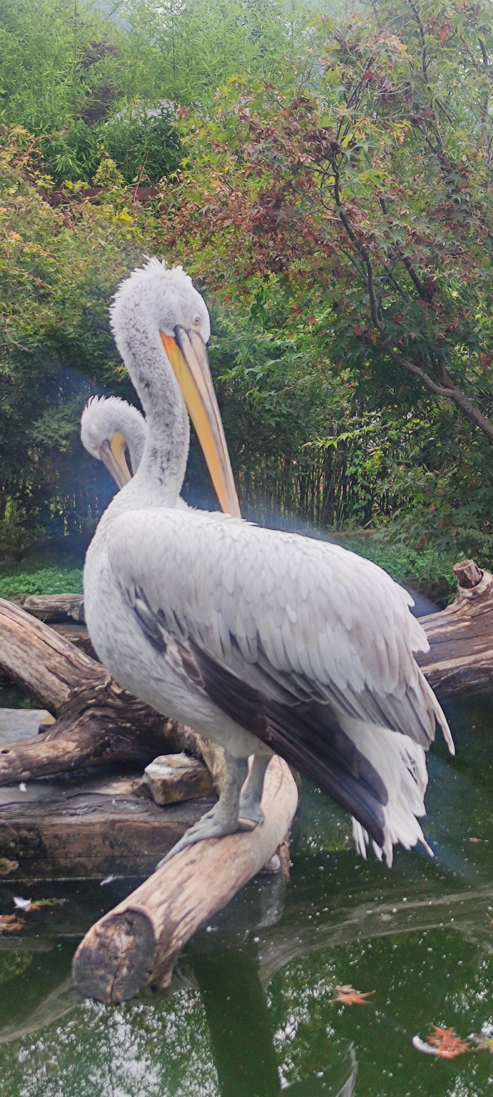 Photo n° 7 de l'avis de Yvette.o fait le 05/09/2023 à 07:55