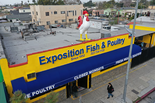 Exposition Fish & Poultry Market