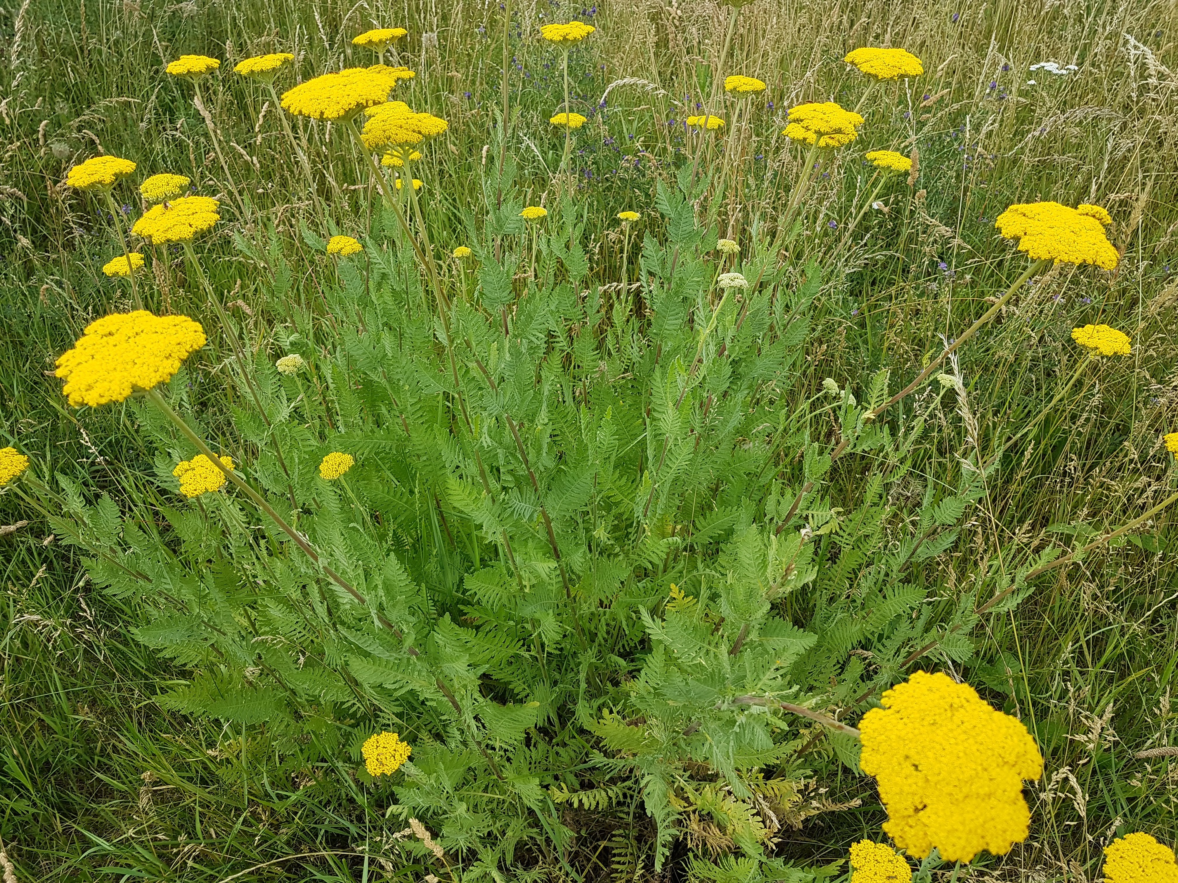 Photo n° 8 de l'avis de Amicie.e fait le 17/06/2020 à 14:41