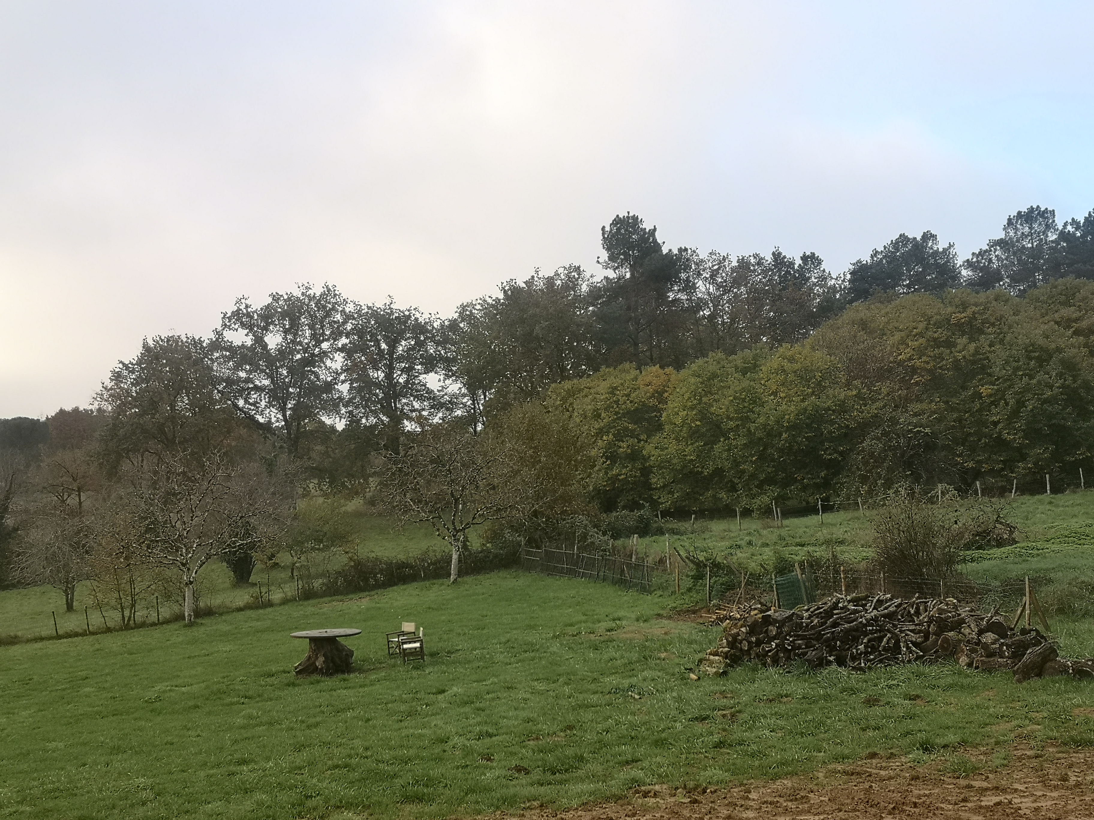 Photo n° 2 de l'avis de nathalie.a fait le 21/11/2023 à 22:35