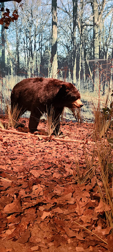 Museum «Texas Ranger Hall of Fame & Museum», reviews and photos, 100 Texas Ranger Trail, Waco, TX 76706, USA