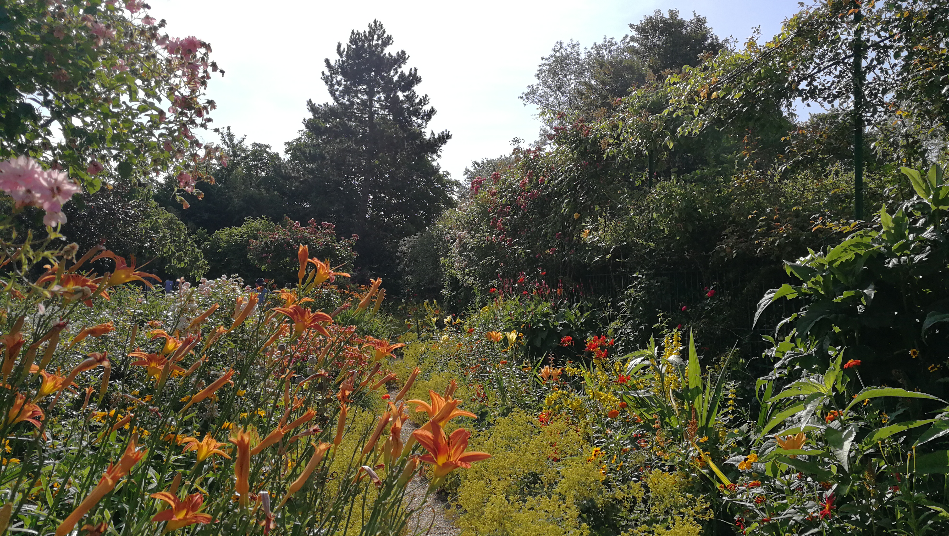 Photo n° 3 de l'avis de barbe.e fait le 10/07/2018 à 17:25