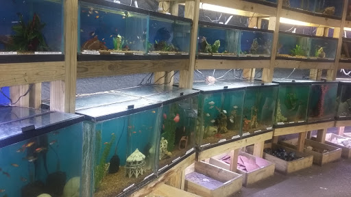 Tropical Fish Store «Austin Aqua-Dome», reviews and photos, 1604 Fortview Rd, Austin, TX 78704, USA