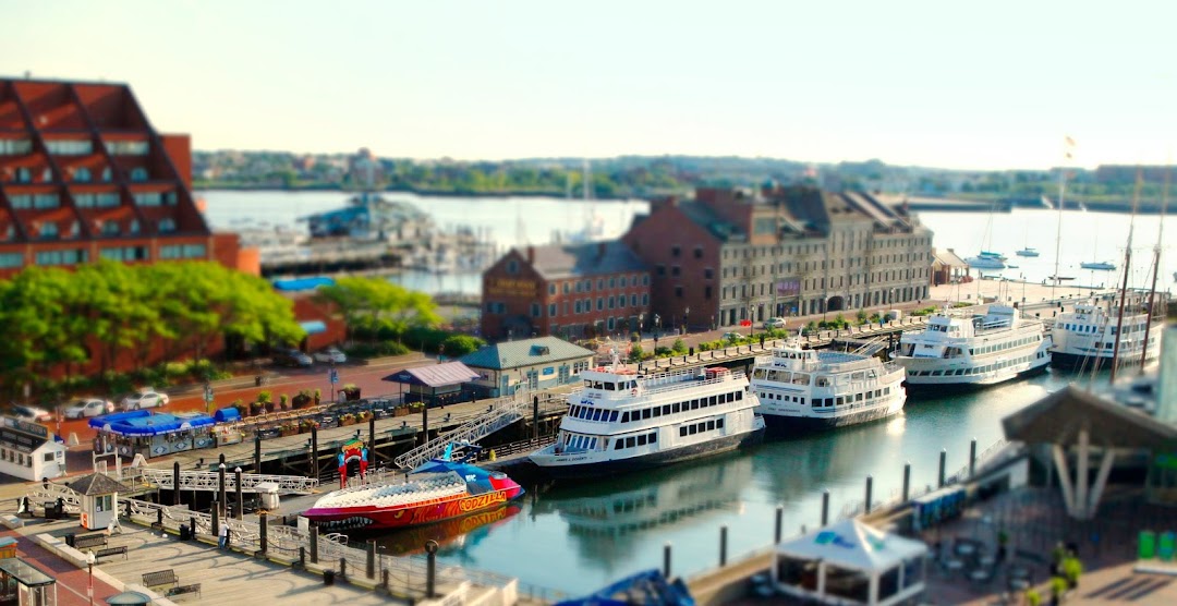 Boston Harbor Cruises