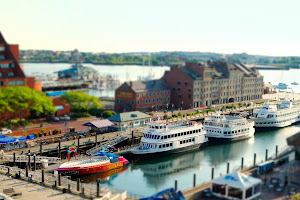 Boston Harbor City Cruises image