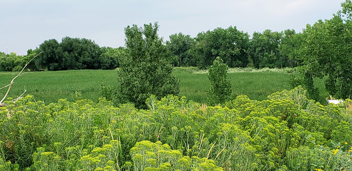 Nature Preserve «Bluff Lake Nature Center», reviews and photos, 3400 Havana Way, Denver, CO 80238, USA