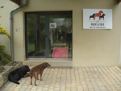 La Boutique du Cavalier à Montigny-aux-Amognes