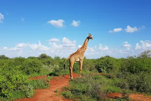 Tsavo West National Park image