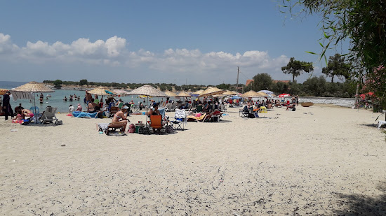 Haydar Bay