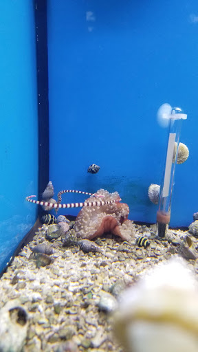 Pet Supply Store «Petco Animal Supplies», reviews and photos, 450 N Rte 17, Paramus, NJ 07652, USA