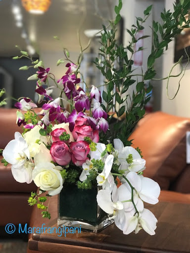 Florist «Frangipani Flowers & Gifts», reviews and photos, 1203 4th St, San Rafael, CA 94901, USA
