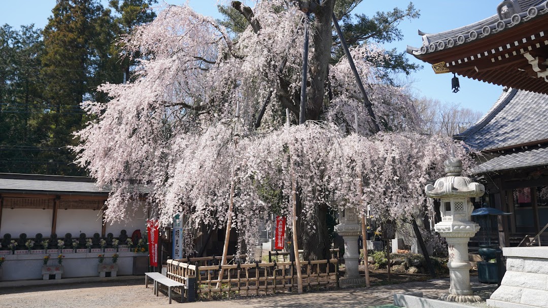 明見院