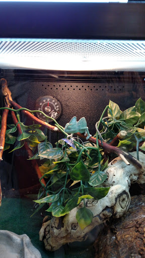 Pet Supply Store «PetSmart», reviews and photos, 3101 Market Center Drive, Morrisville, NC 27560, USA