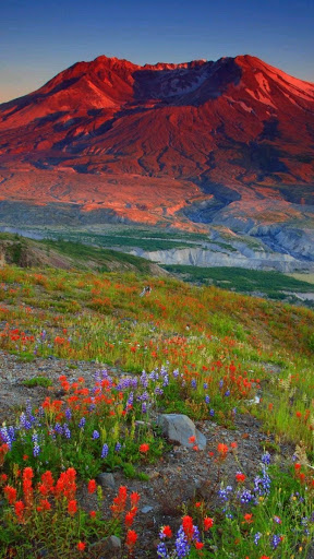 National Reserve «Mount St. Helens National Volcanic Monument», reviews and photos, 3029 Spirit Lake Hwy, Castle Rock, WA 98611, USA