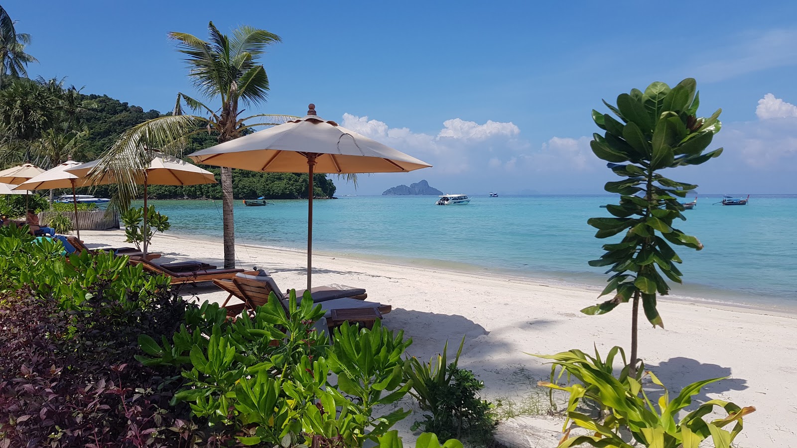 SAii Phi Phi Village Plajı'in fotoğrafı çok temiz temizlik seviyesi ile