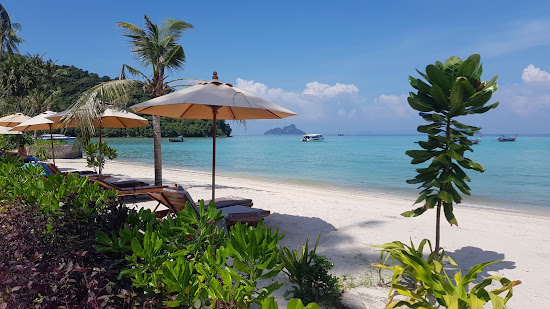 SAii Phi Phi Village Plajı