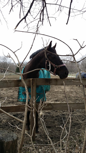 Park «Water Works Park», reviews and photos, 2201 George Flagg Pkwy, Des Moines, IA 50321, USA