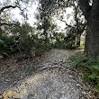 St Augustine Arboretum & Nature Trail