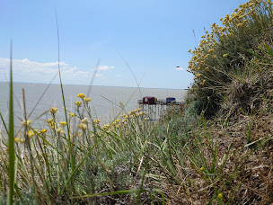 Photo n°14 de La Couronne à Meschers-sur-Gironde ()