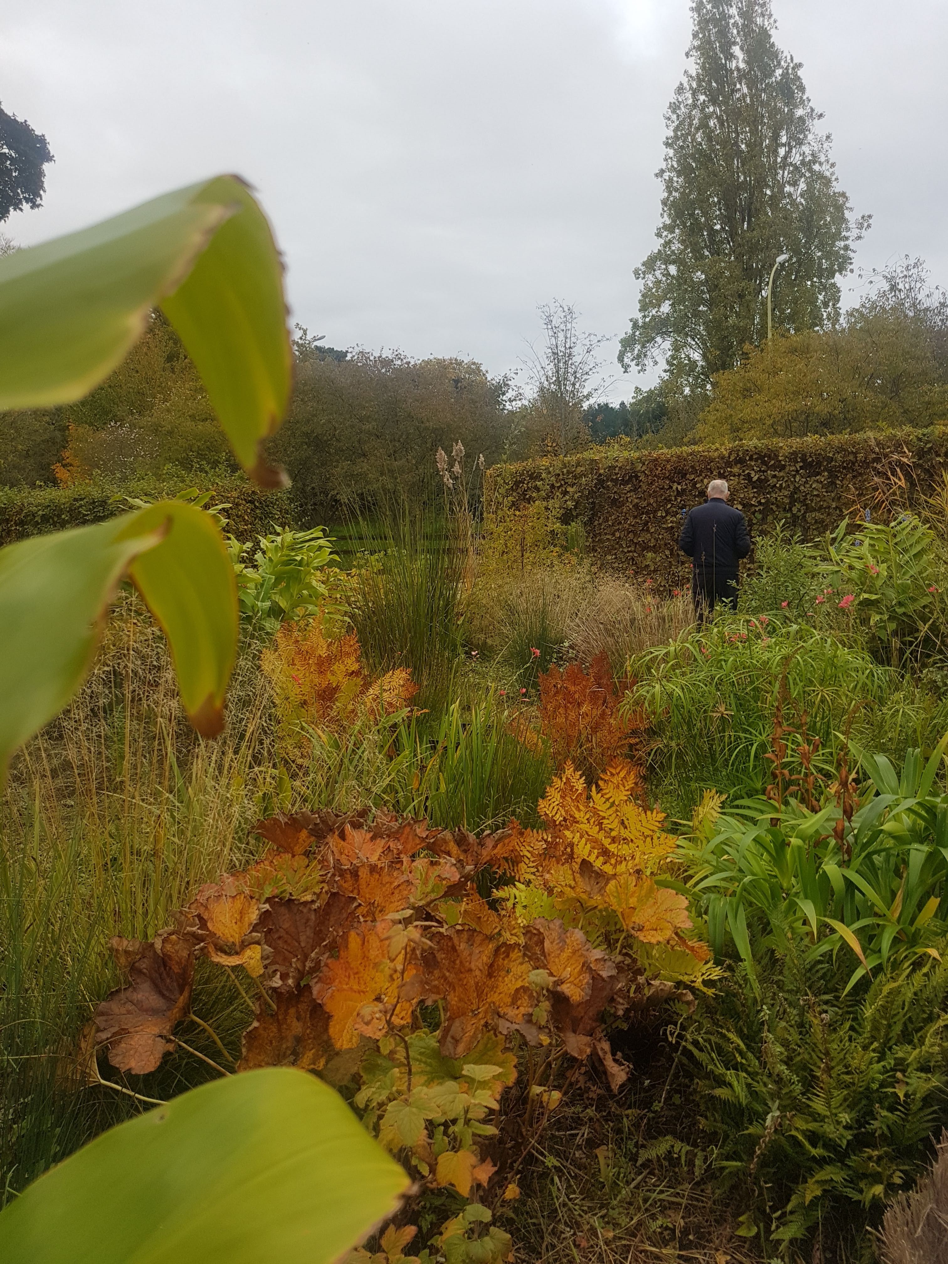 Photo n° 7 de l'avis de Vera.h fait le 17/11/2020 à 10:36