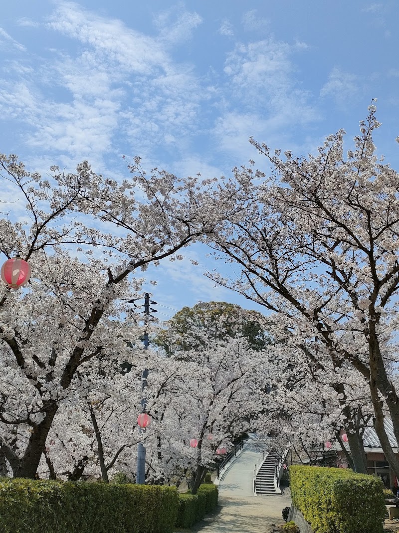 城山公園