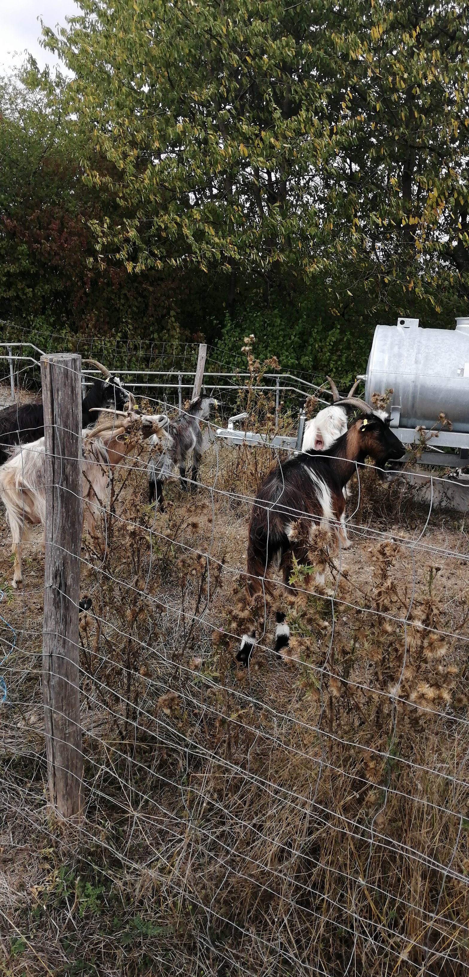 Photo n° 3 de l'avis de Pierre. fait le 23/09/2020 à 20:23
