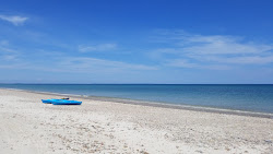 Sandy Neck Plajı'in fotoğrafı imkanlar alanı