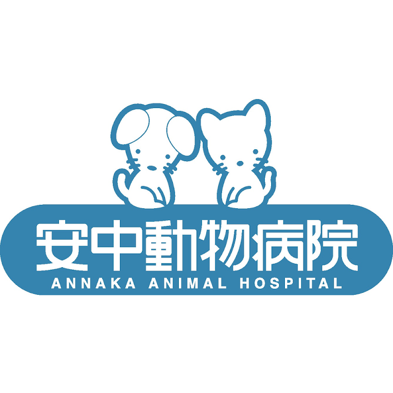 安中動物病院