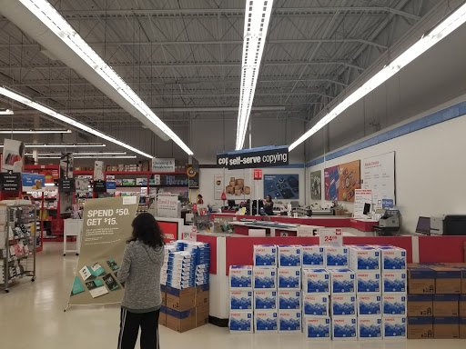 Office Supply Store «Staples», reviews and photos, 11806 Bruce B Downs Blvd, Tampa, FL 33612, USA