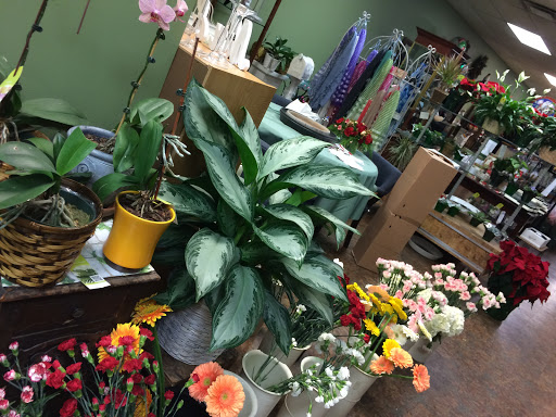 Florist «Floral Expressions», reviews and photos, 91 Main St, Woodbridge, NJ 07095, USA