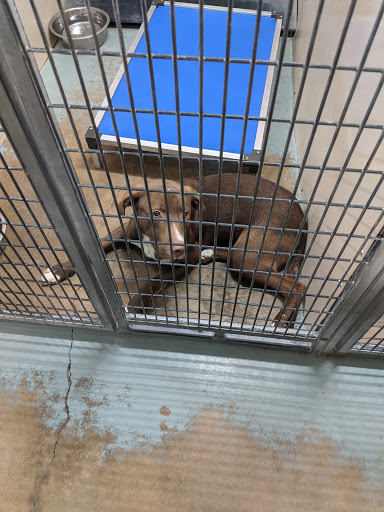 Montgomery Humane Society