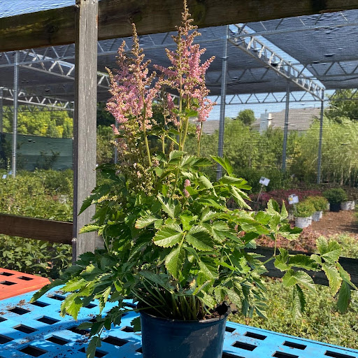 Landscaping Supply Store «Kirkwood Gardens», reviews and photos, 2701 Barrett Station Rd, Ballwin, MO 63021, USA