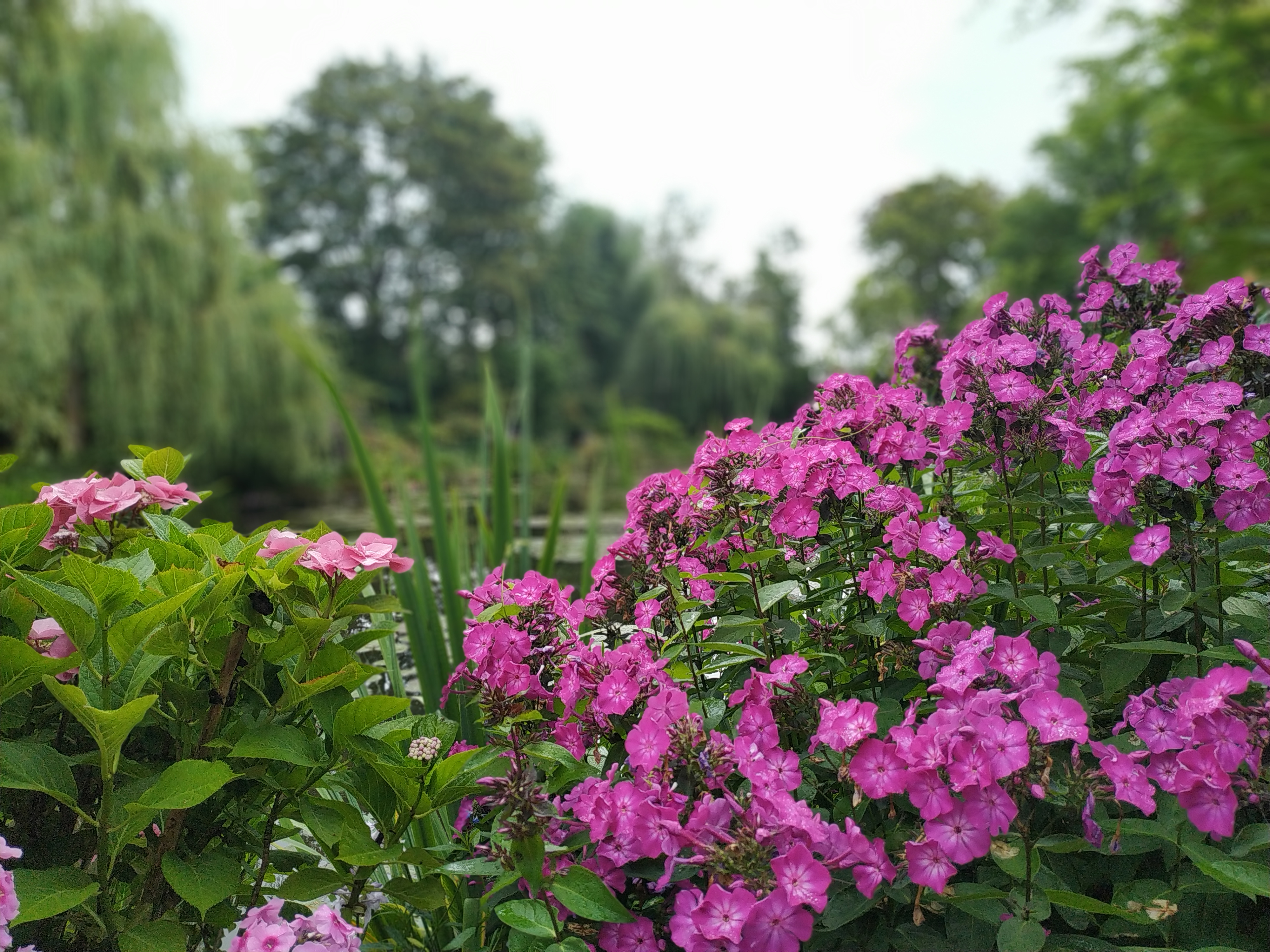 Photo n° 18 de l'avis de Pagliai.o fait le 18/07/2020 à 15:42