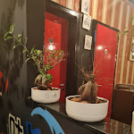 Photo n°4 de l'avis de Alice. fait le 08/10/2023 à 05:28 sur le  Ayumi Ramen Factory à Ulm