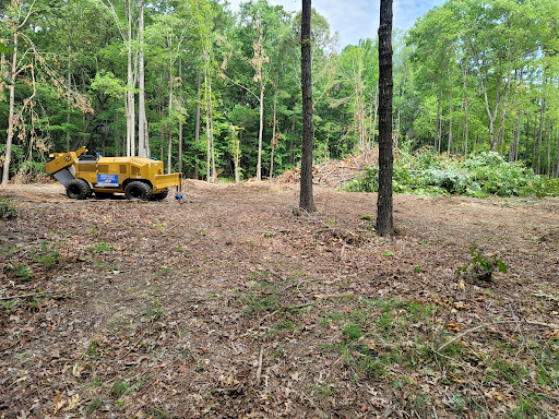 Piedmont Stump Grinding & Tree Removal