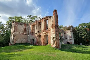 Ruiny Pałacu w Bychawie image