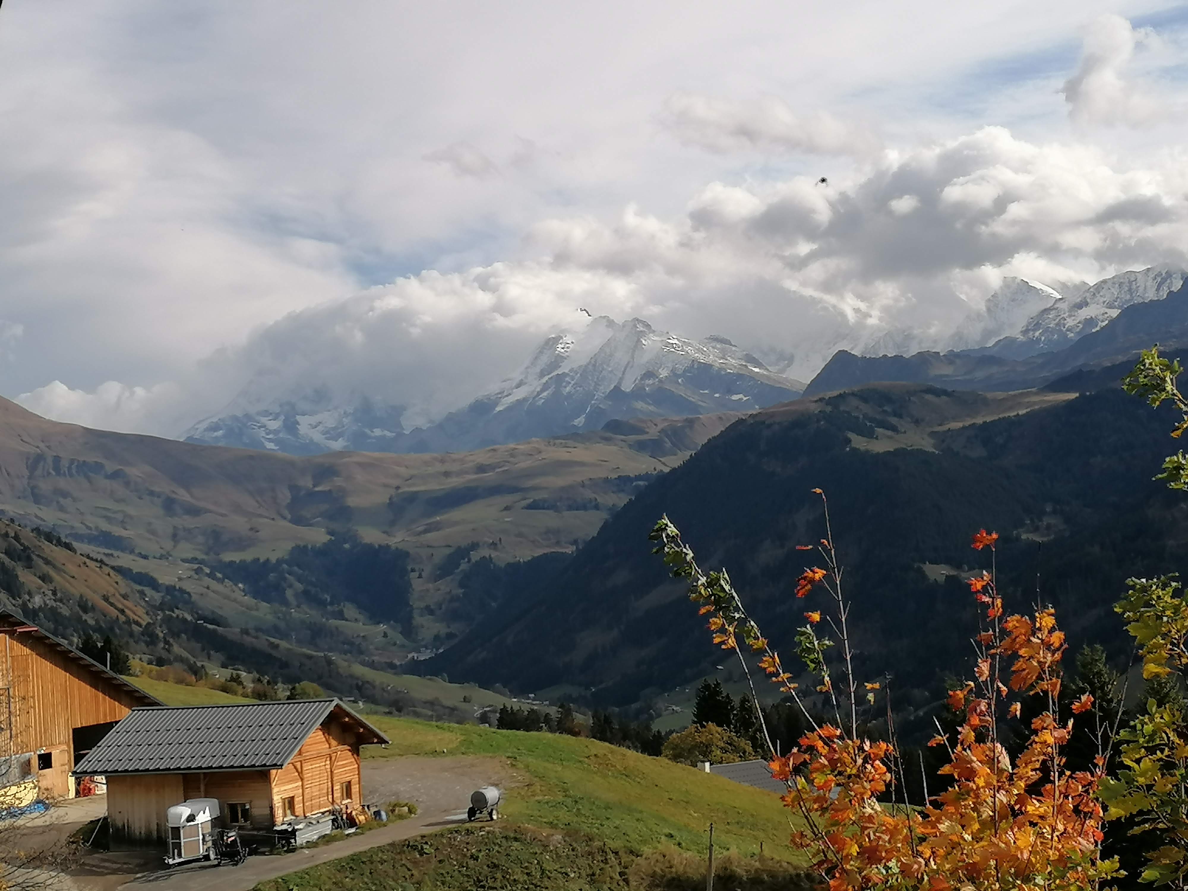Photo n° 2 de l'avis de kuba. fait le 07/11/2019 à 11:06