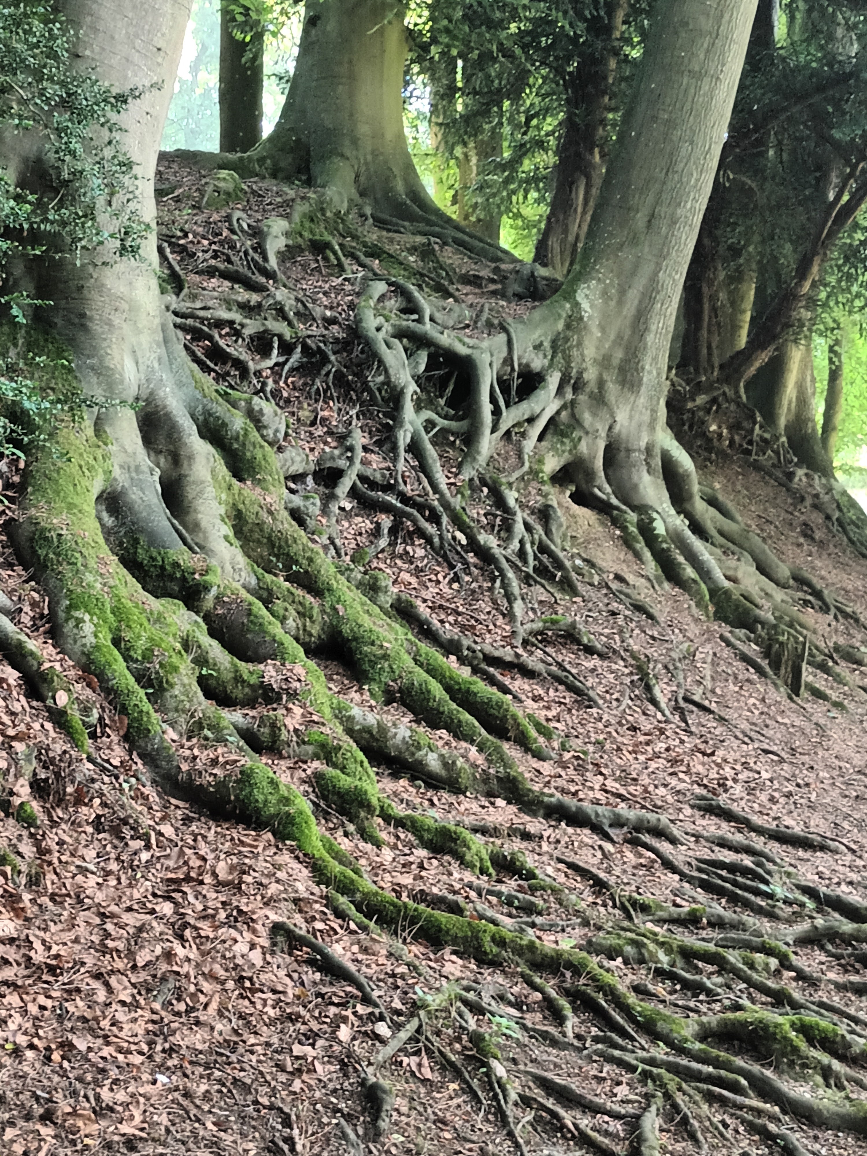 Photo n° 13 de l'avis de daniel.a fait le 28/06/2023 à 18:17