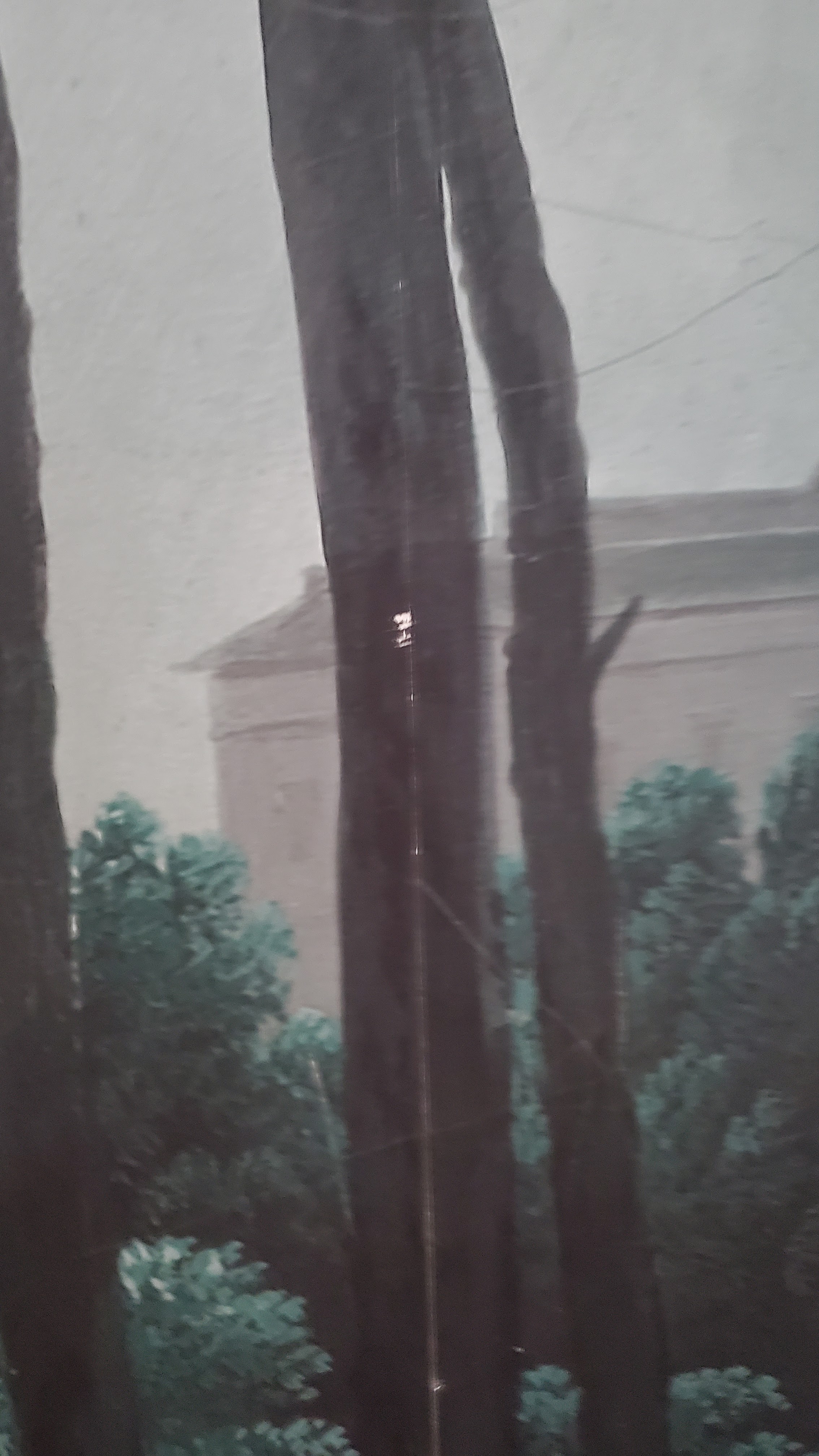 Photo n° 7 de l'avis de Anthony.o fait le 21/07/2022 à 10:12