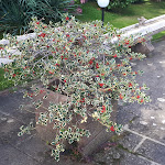 Photo n°2 de l'avis de Danilo.i fait le 24/10/2018 à 08:46 sur le  La Bastia Hotel & Resort à Soriano Nel Cimino