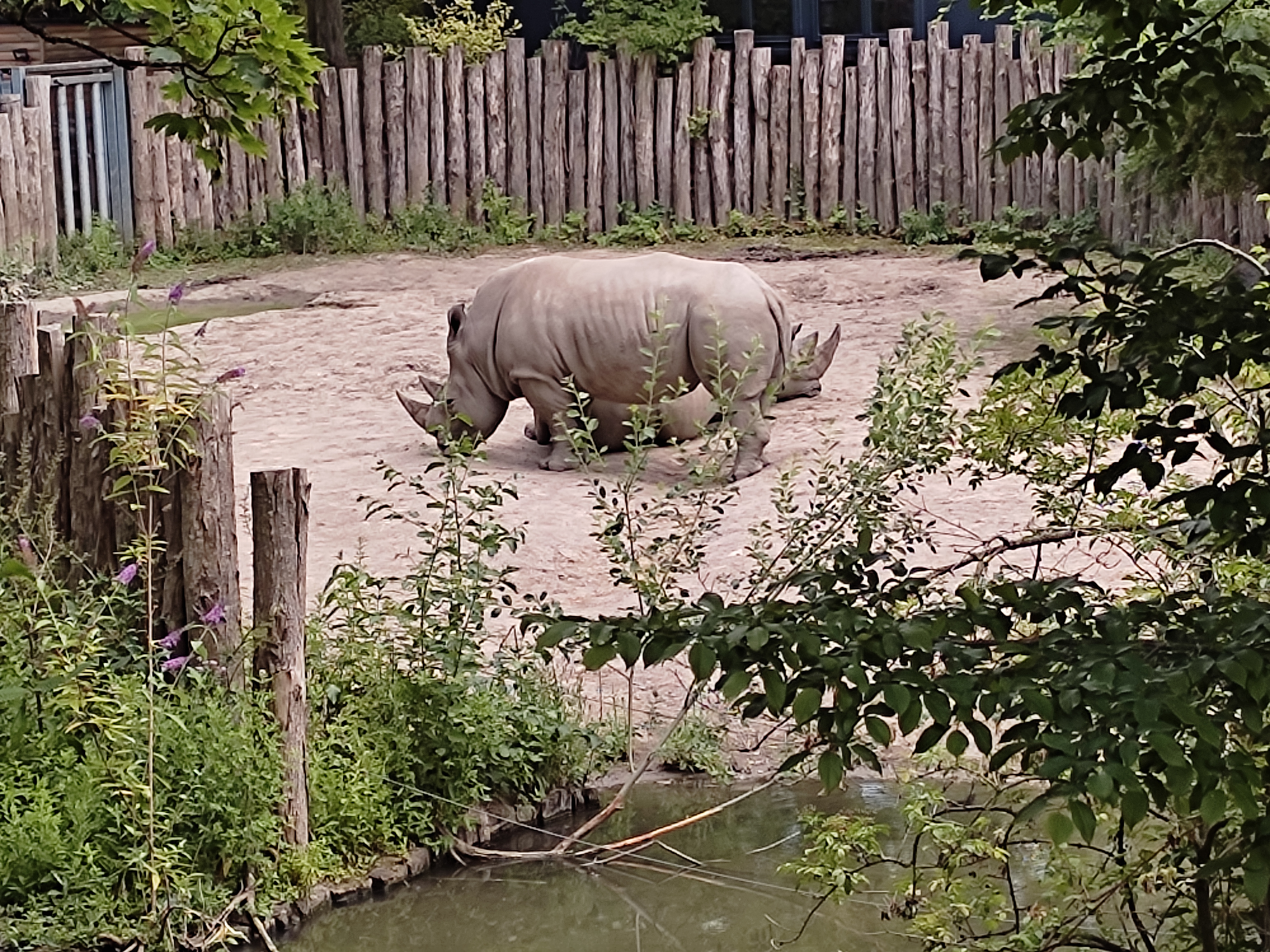 Photo n° 3 de l'avis de Alex.e fait le 09/07/2022 à 08:27