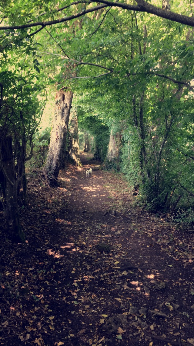 Photo n° 1 de l'avis de Xavier.o fait le 26/09/2018 à 09:53