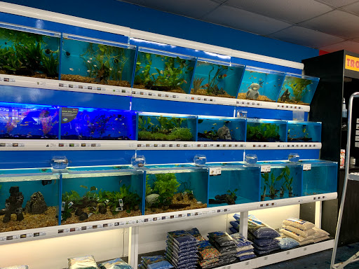 Pet Supply Store «Pet Supermarket», reviews and photos, 1125 Royal Palm Beach Blvd, Royal Palm Beach, FL 33411, USA