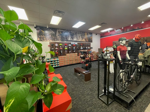 Bicycle Store «Global Bikes - Bike Shop Chandler South», reviews and photos, 1055 S Arizona Ave #9, Chandler, AZ 85286, USA